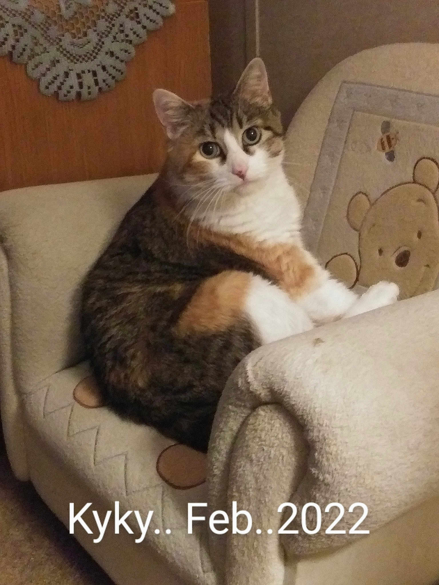 Kyky