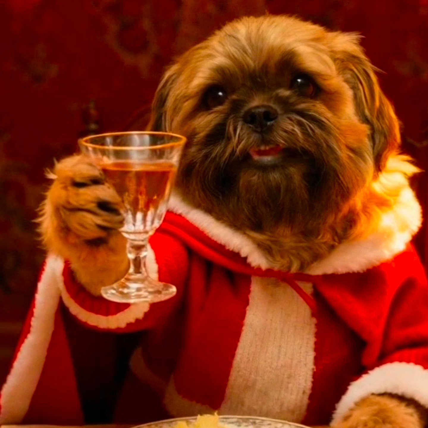 Poopy a rejoint le concours — aidez-le/la à gagner de superbes lots ! dog, pet, animal, holiday, christmas, costume, red_clothing, glass, table, food, plate, mascot, festive, celebration, fur, beverage, indoors, dining, cute, portrait