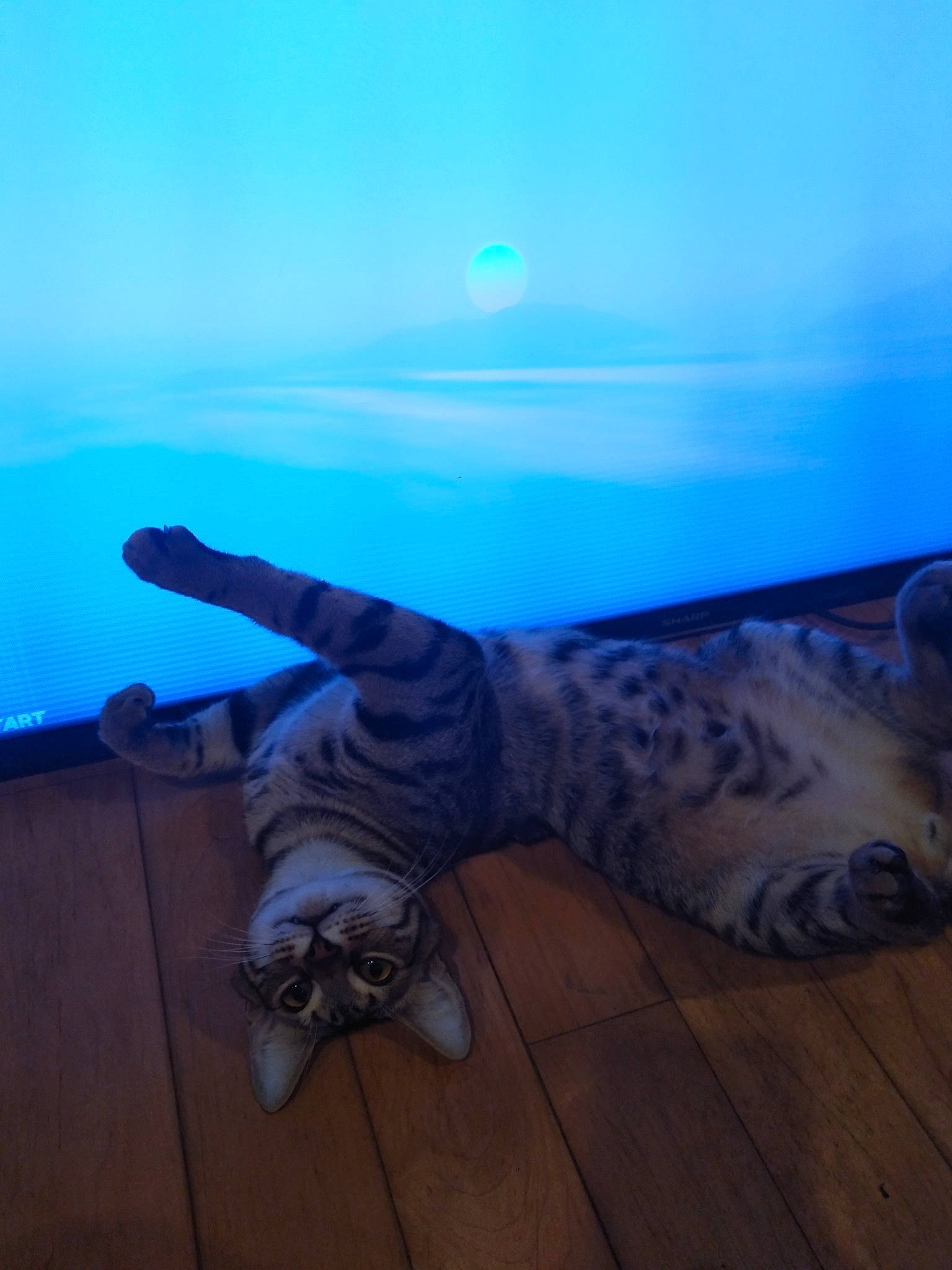 Leo is registered to the contest to win money with this photo: arm, blue, cloud, finger, floor, hand, human_leg, leg, leisure, reflection, sky, tattoo, water