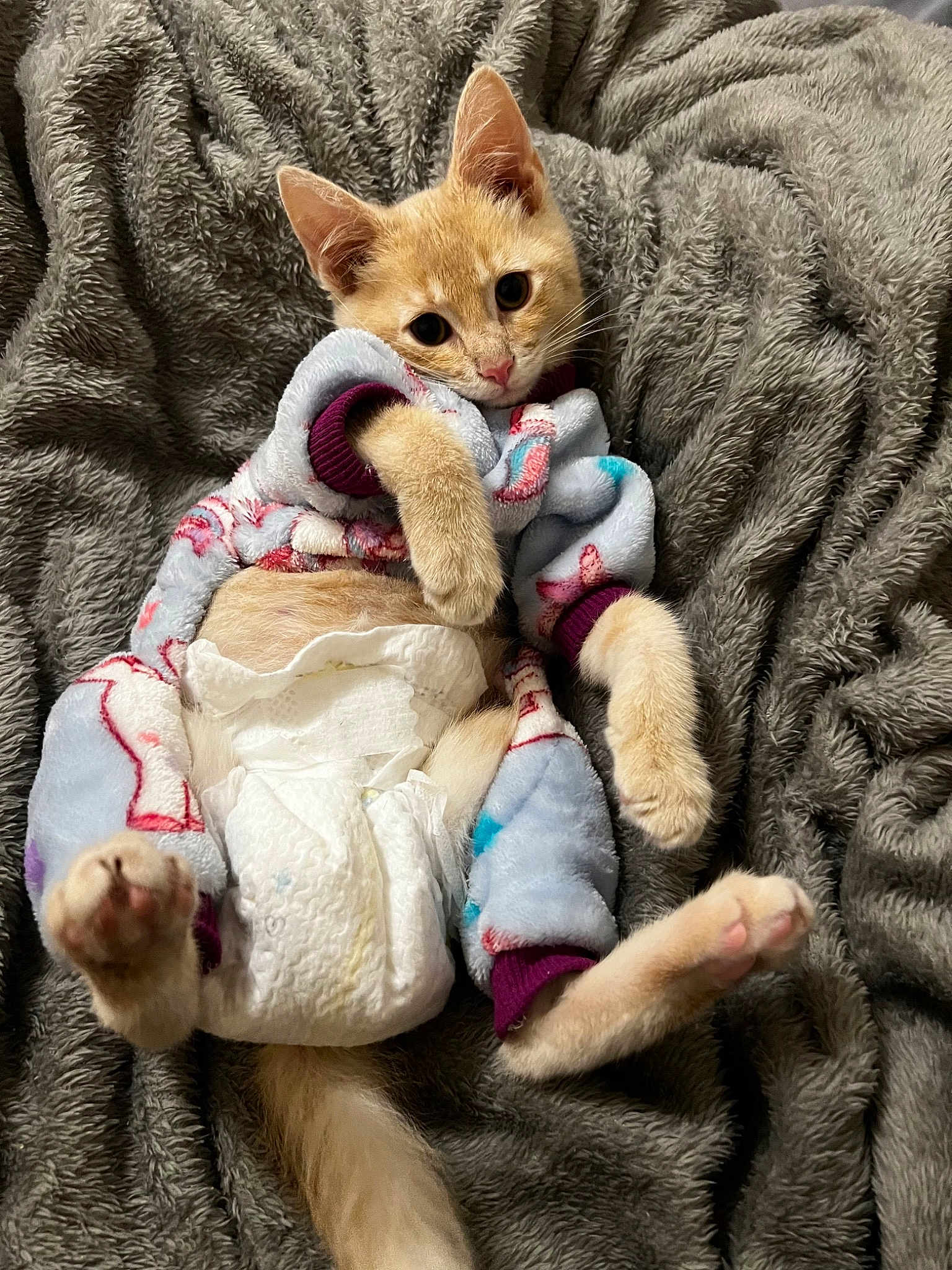 Simba