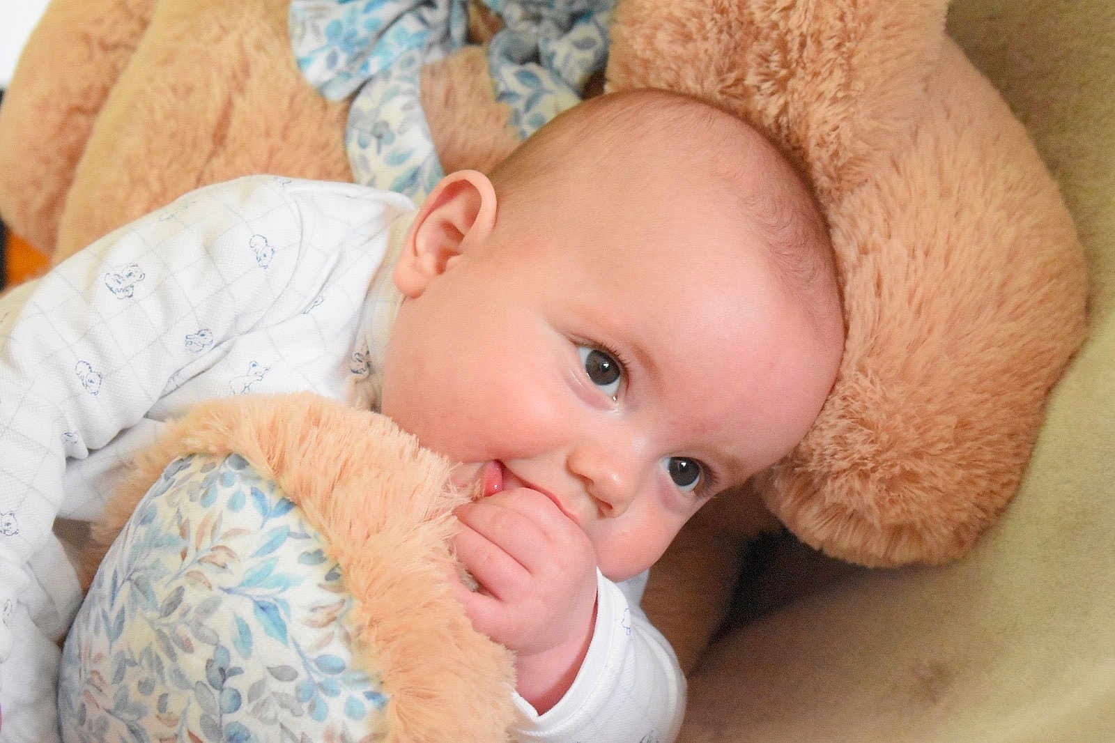 Ayden participe au concours pour gagner de l'argent avec cette photo : baby, infant, child, teddy_bear, plush_toy, hand, face, eyes, sleepwear, comfort, couch, soft, cute, indoors, portrait, closeup, skin, expression, resting, cozy
