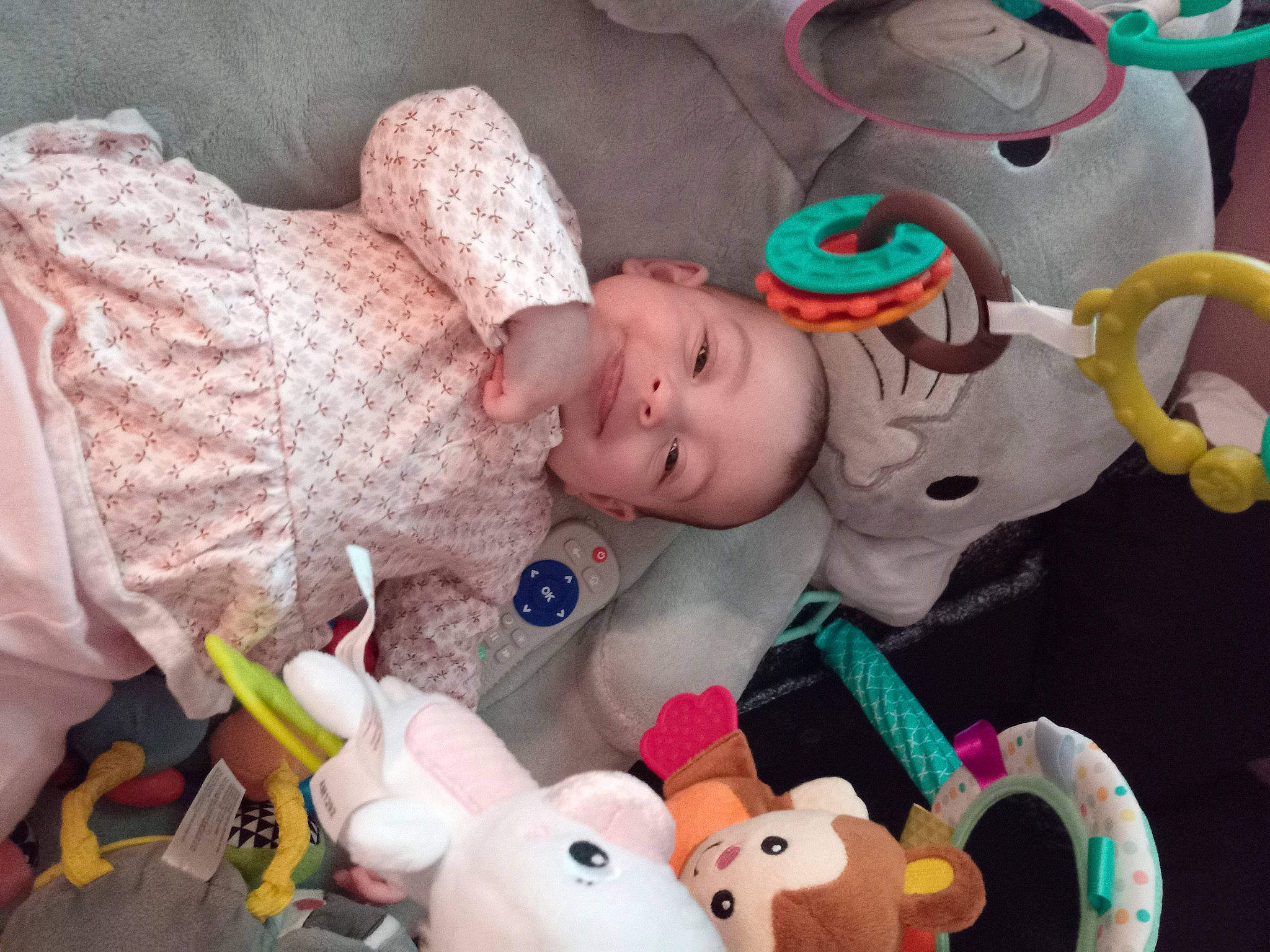 Madison is registered to the contest to win money with this photo: baby, baby_products, baby_toddler_clothing, baby_toys, cheek, child, fun, linens, mammal, organ, person, pink, plastic, plush, product, room, stuffed_toy, textile, toddler, toy