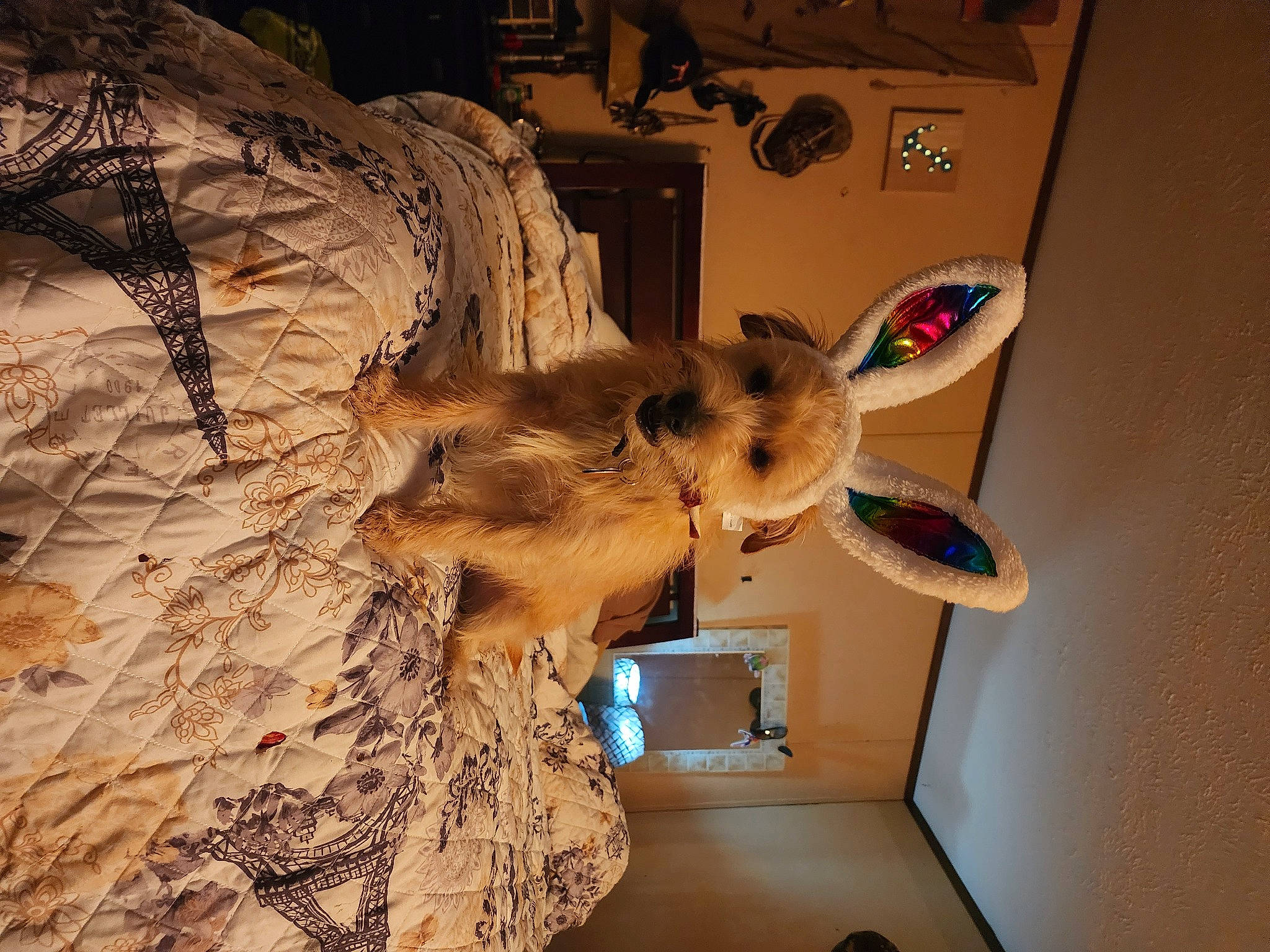 Yoge joined the competition — help win amazing prizes! art, canidae, fawn, felidae, fur, room, visual_arts, whiskers, wood