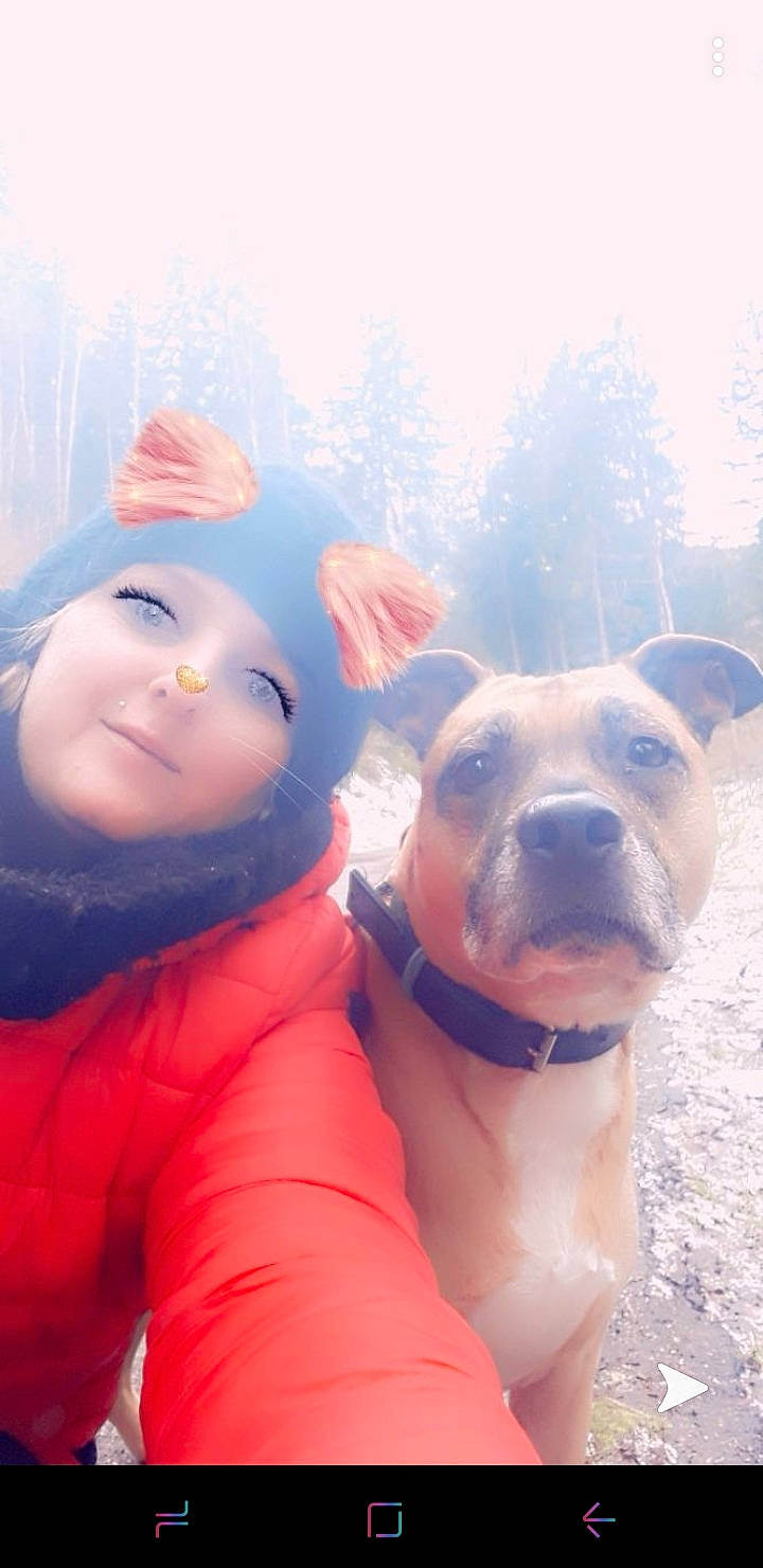 Kaïra a rejoint le concours — aidez-le/la à gagner de superbes lots ! carnivore, companion_dog, dog, dog_breed, dog_collar, fawn, freezing, fun, gesture, happy, leisure, people_in_nature, recreation, sky, smile, snow, sporting_group, tree, winter, working_animal