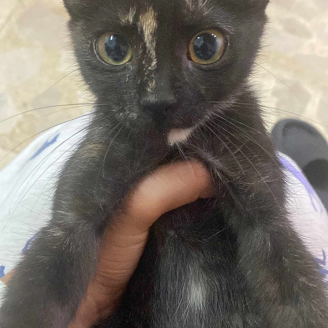 Black Eye