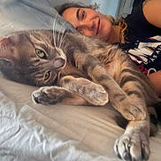 Miette participe au concours pour gagner de l'argent avec cette photo : bed, bedroom, blanket, cat, close_up, cuddling, gray_cat, green_eyes, indoor, lying_down, paws, person, pet, pillow, portrait, relaxed, smiling, tattoo, whiskers, woman