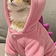 Olivia Mae is registered to the contest to win money with this photo: cat, tabby_cat, pet, costume, pink_hoodie, dinosaur_outfit, bow, glitter, spikes, jewelry_collar, whiskers, paws, indoor, sofa, fabric, cute, portrait, fur, sitting, eyes
