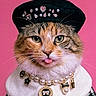 accessory, adorable, animal, beret, cat, close_up, clothing, costume, cute, fashion, feline, jewelry, necklace, pearl, pet, pink_background, portrait, posing, stylish, tongue_out
