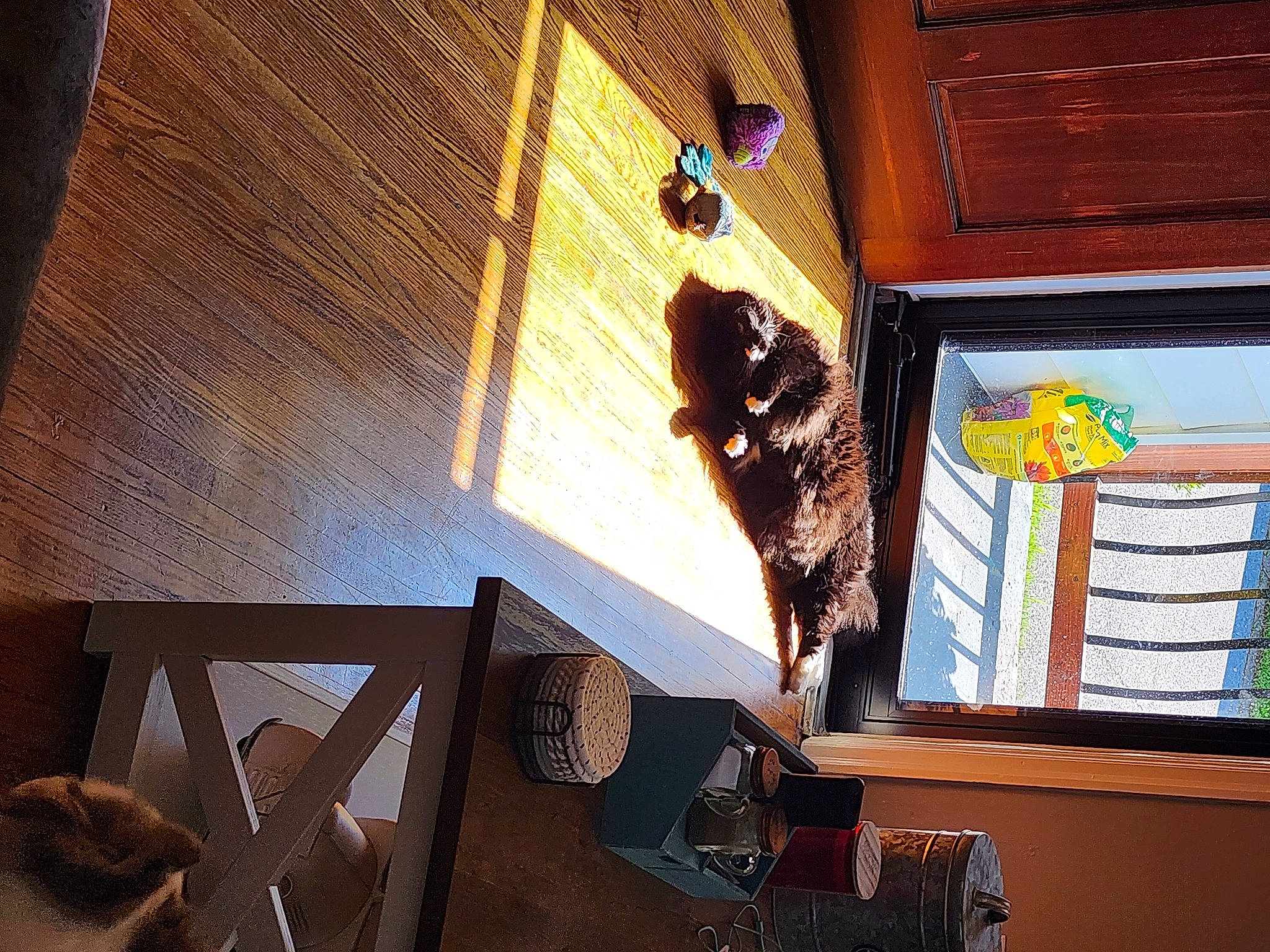 Jack joined the competition — help win amazing prizes! art, building, ceiling, daylighting, glass, hardwood, house, interior_design, light_fixture, metal, rectangle, room, shade, shadow, space, tints_and_shades, visual_arts, wall, window, wood