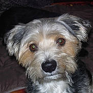 Idem participe au concours pour gagner de l'argent avec cette photo :