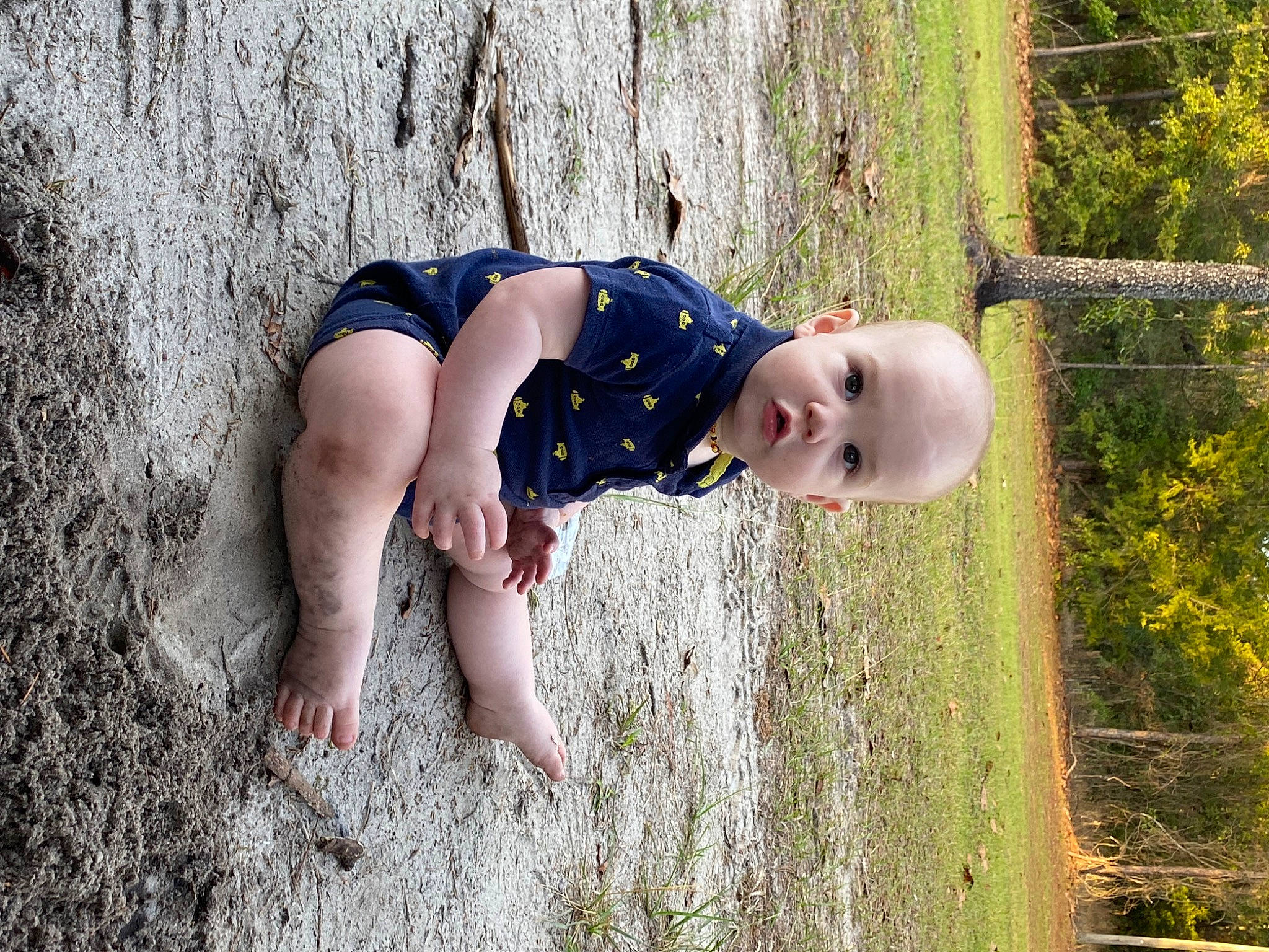 Jensen is registered to the contest to win money with this photo: baby, baby_toddler_clothing, eye, facial_expression, flash_photography, grass, happy, head, human_body, leaf, leisure, mammal, people_in_nature, person, plant, smile, standing, toddler, tree, wood