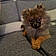 Balou