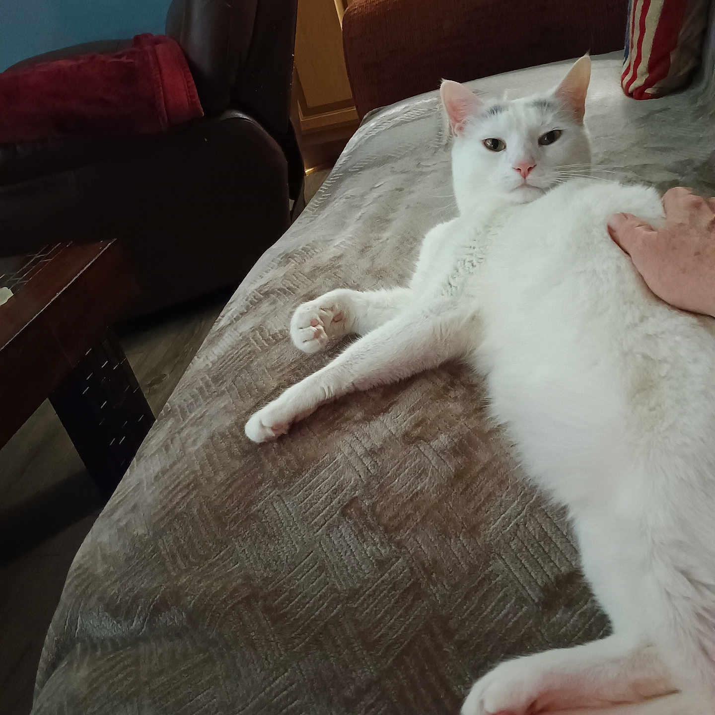 Cajun