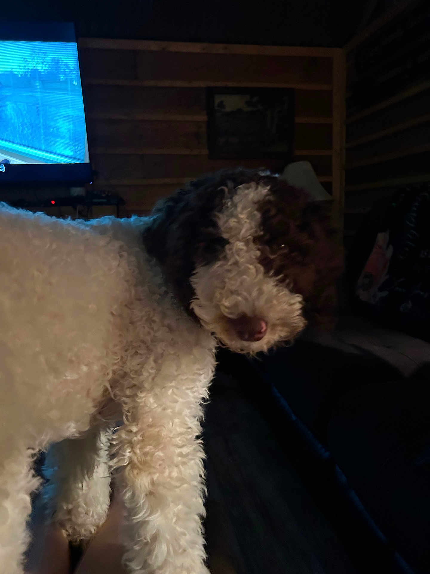 Max