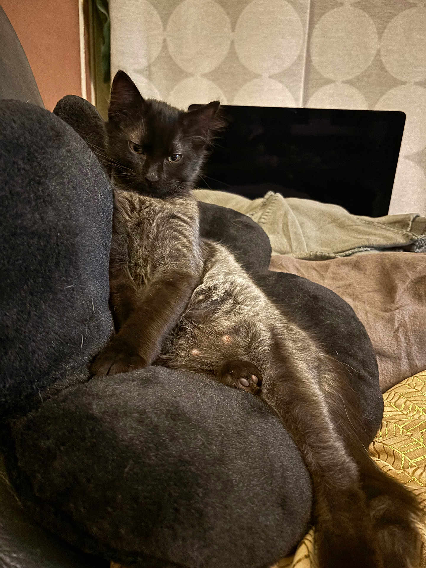 Onyx