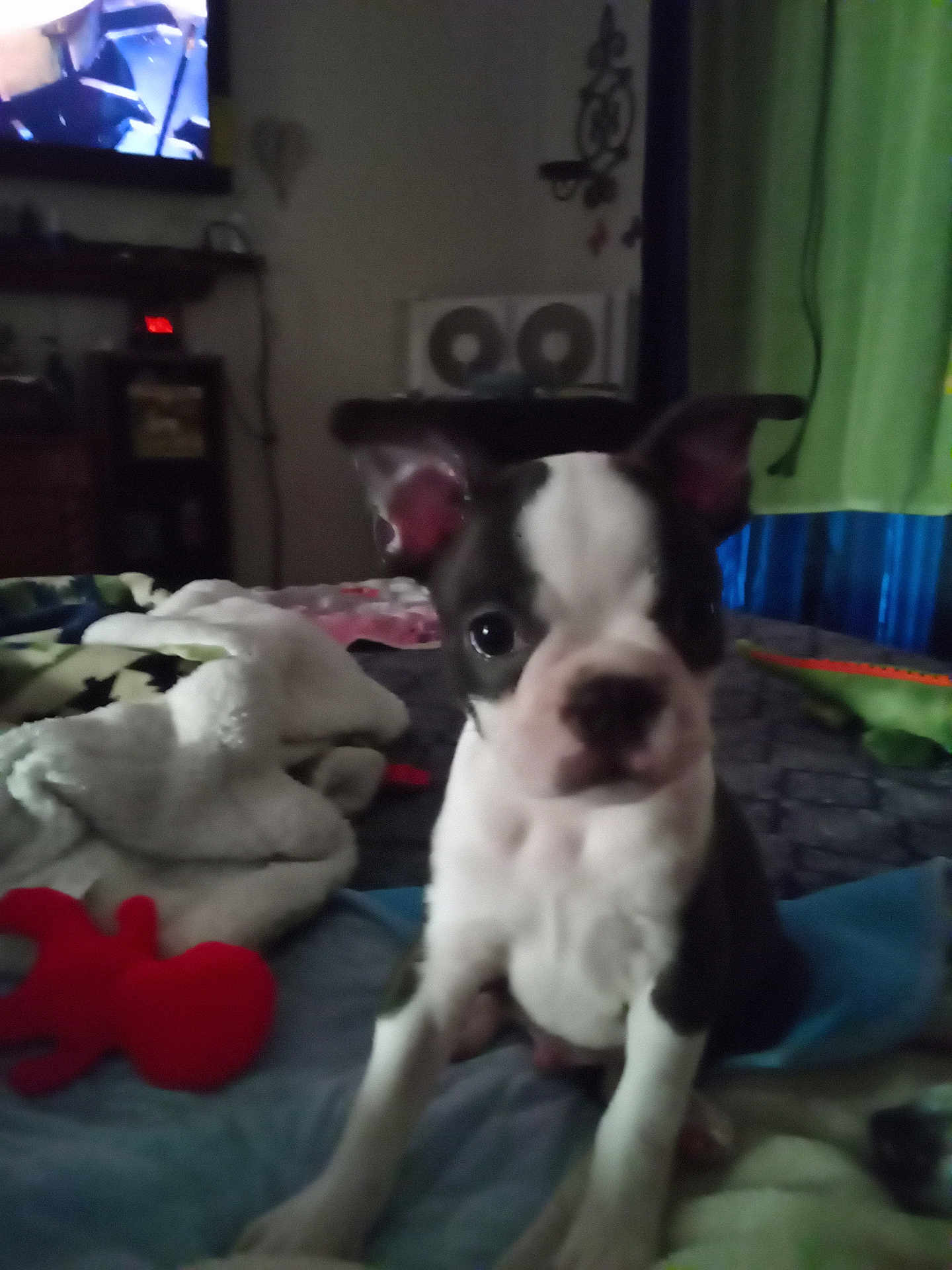 Max