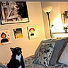 animal, bed, black_and_white, blanket, cat, cozy, decor, floral_pattern, furniture, home, indoor, lamp, light, looking_up, mouth_open, painting, pet, pillow, sitting, wall_art