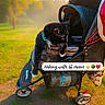 animal, black_cat, cat, collar, cute, daytime, grass, leisure, nature, outdoor, park, pavement, pet, relaxed, stroller, sunlight, sunshine, text_overlay, tree, wheel