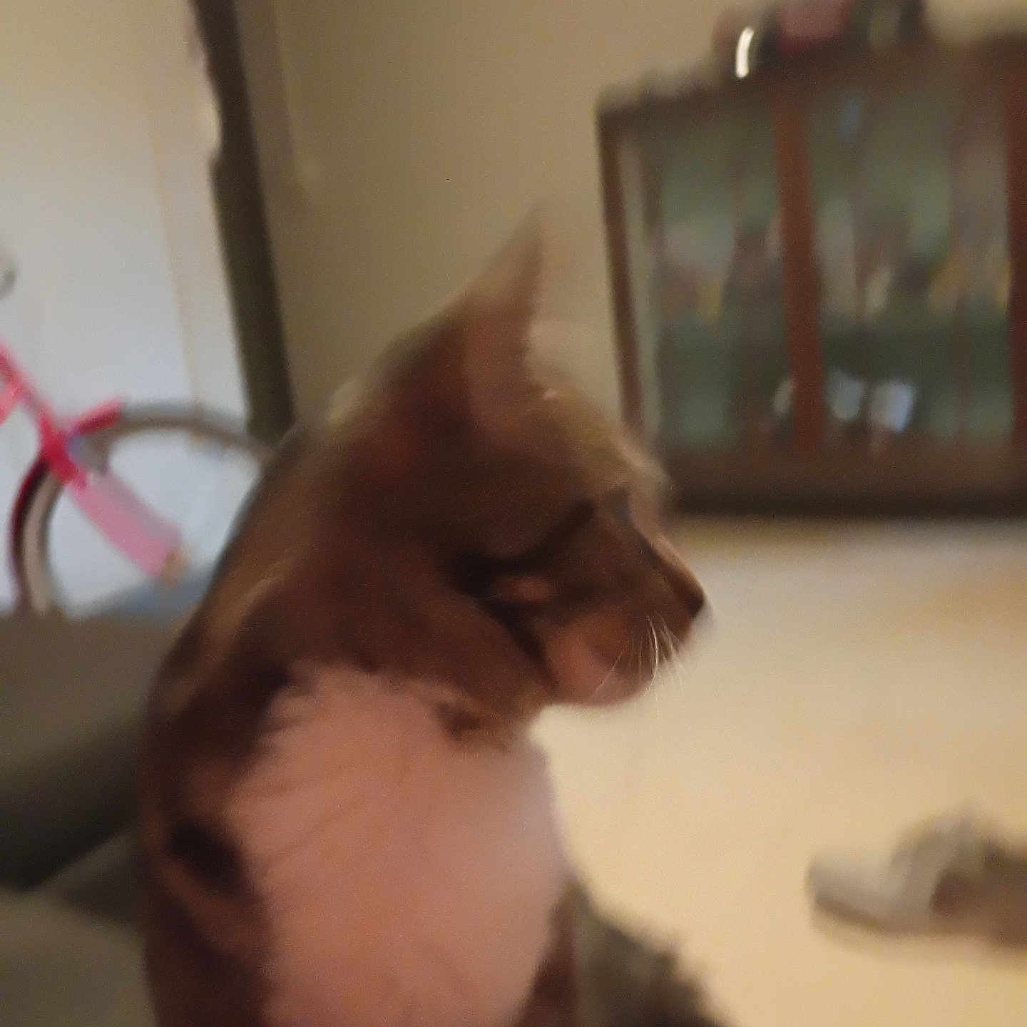Roscoe