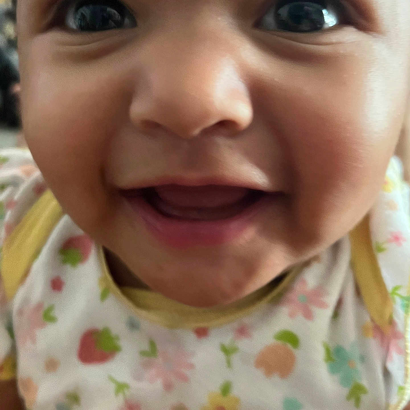 Melodee