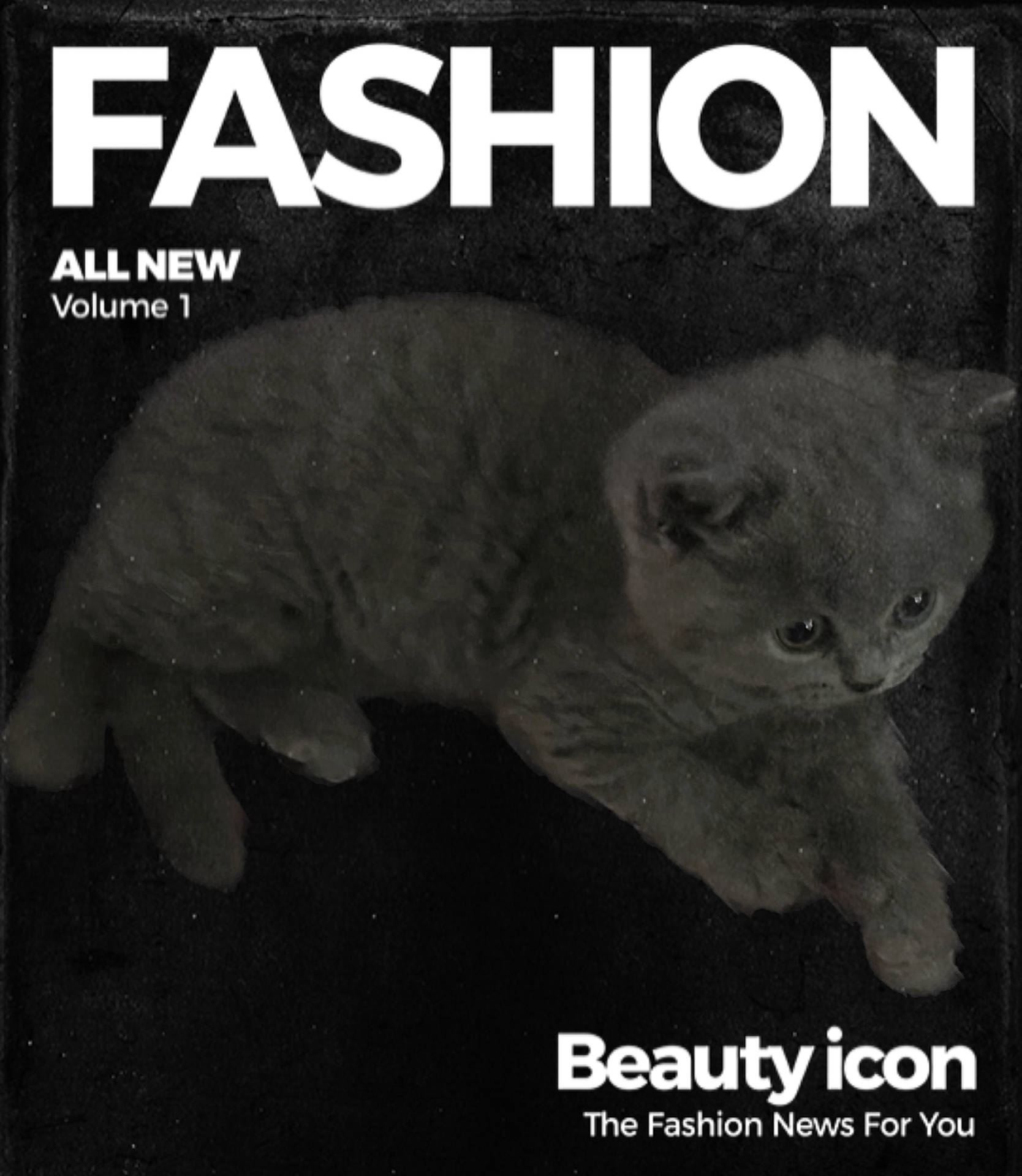 Nikki joined the competition — help win amazing prizes! book, book_cover, carnivore, cat, felidae, font, fur, internet_meme, organism, photo_caption, plant, poster, publication, science, small_to_medium_sized_cats, snout, tail, terrestrial_animal, whiskers, wildlife