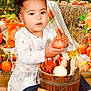 Gracie is registered to the contest to win money with this photo: toddler, child, pumpkin, autumn, fall, hay_bale, leaves, outdoor, nature, bucket, curious, pigtails, orange, plaid_blanket, wooden_floor, seasonal, decor, cute, portrait, casual_clothing
