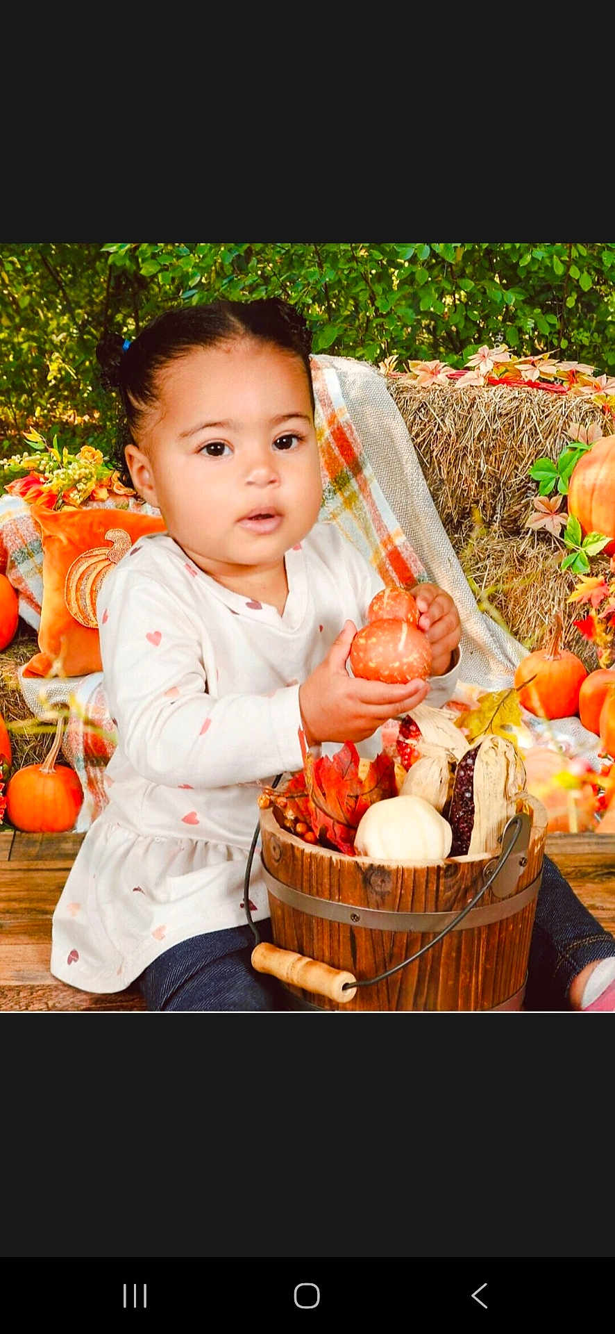 Gracie is registered to the contest to win money with this photo: toddler, child, pumpkin, autumn, fall, hay_bale, leaves, outdoor, nature, bucket, curious, pigtails, orange, plaid_blanket, wooden_floor, seasonal, decor, cute, portrait, casual_clothing