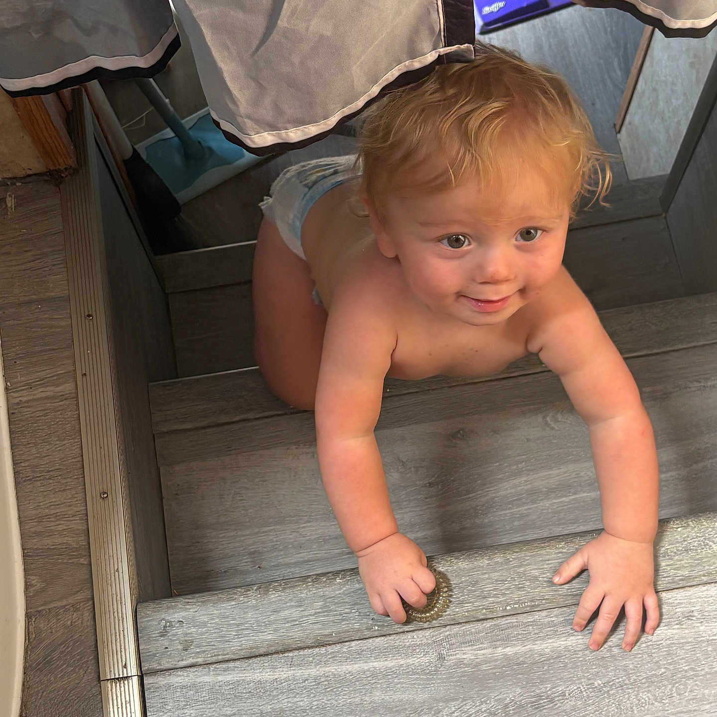 Lucas is registered to the contest to win money with this photo: toddler, child, climbing, stairs, wooden_floor, blonde_hair, diaper, curious, smiling, indoor, natural_light, curtain, hand, face, crawling, playful, person, young_child, baby, home
