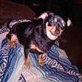 Beverly A.