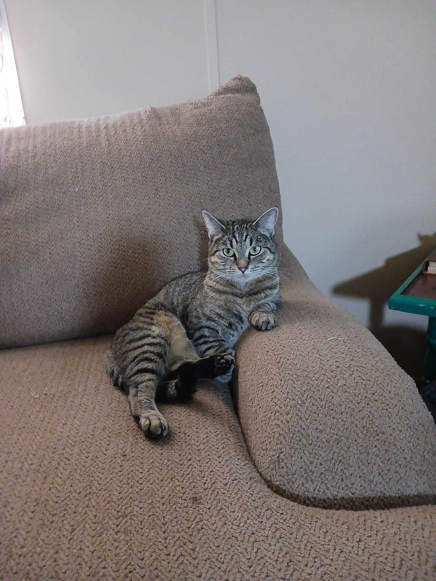 Madi
