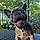Lola
