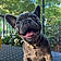 Lola