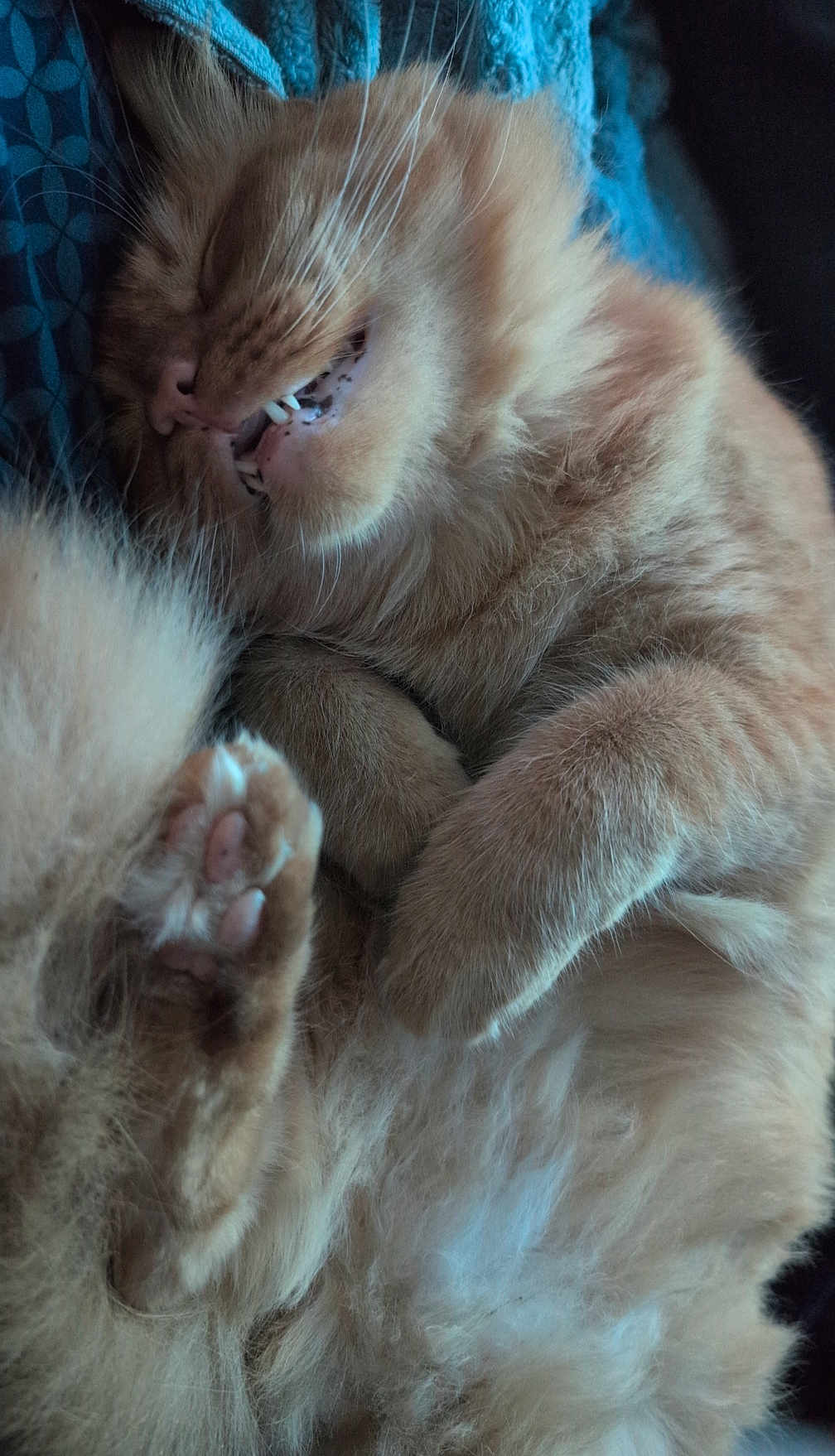 Castiel