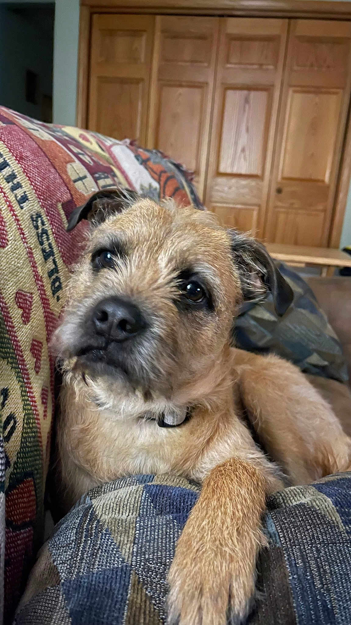 Rufus