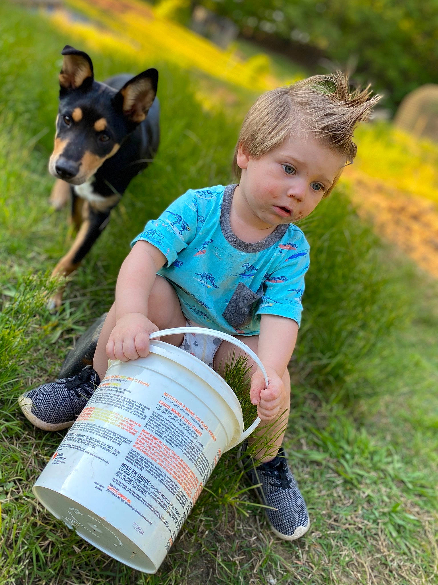 Hayden is registered to the contest to win money with this photo: adventure, canidae, child, dog, fun, grass, person, play, summer, toddler, walking