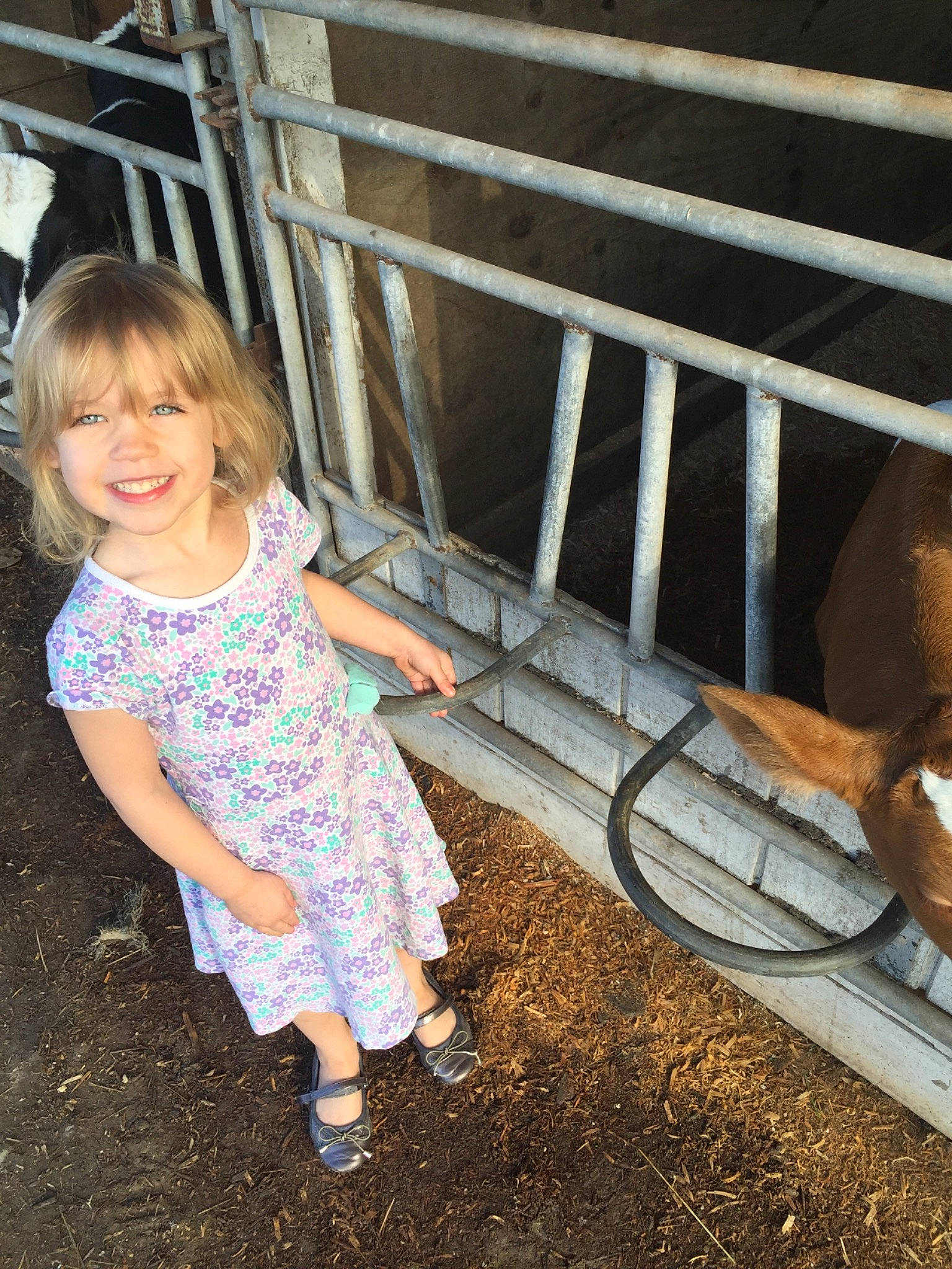 Brianna joined the competition — help win amazing prizes! child, fawn, joy, person, smile