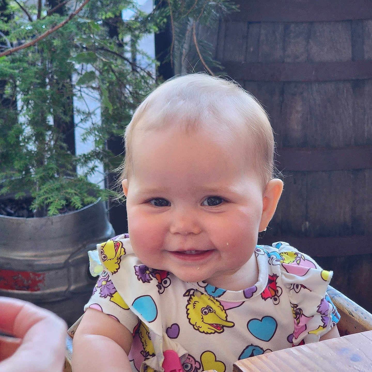 Caroline is registered to the contest to win money with this photo: baby, cutlery, face, furniture, happy, head, jar, person, photography, plant, planter, portrait, pottedplant, pottery, smile, spoon, table, tree, vase, wood