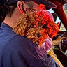 Yams joined the competition — help win amazing prizes! dog, person, cap, car_interior, red_light, fluffy_dog, close_up, shoulder, night, pet, fur, warm_lighting, holding, seated, casual_clothing, animal, portrait, cute, companionship, indoor
