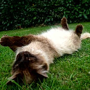 Praline participe au concours pour gagner de l'argent avec cette photo :
