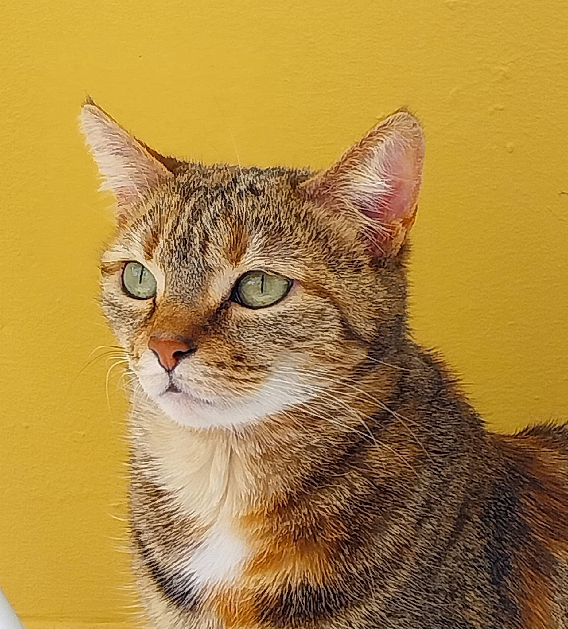 Ruby