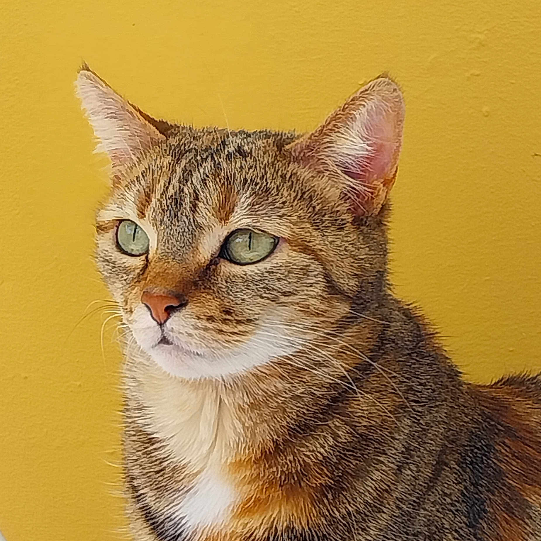 Ruby