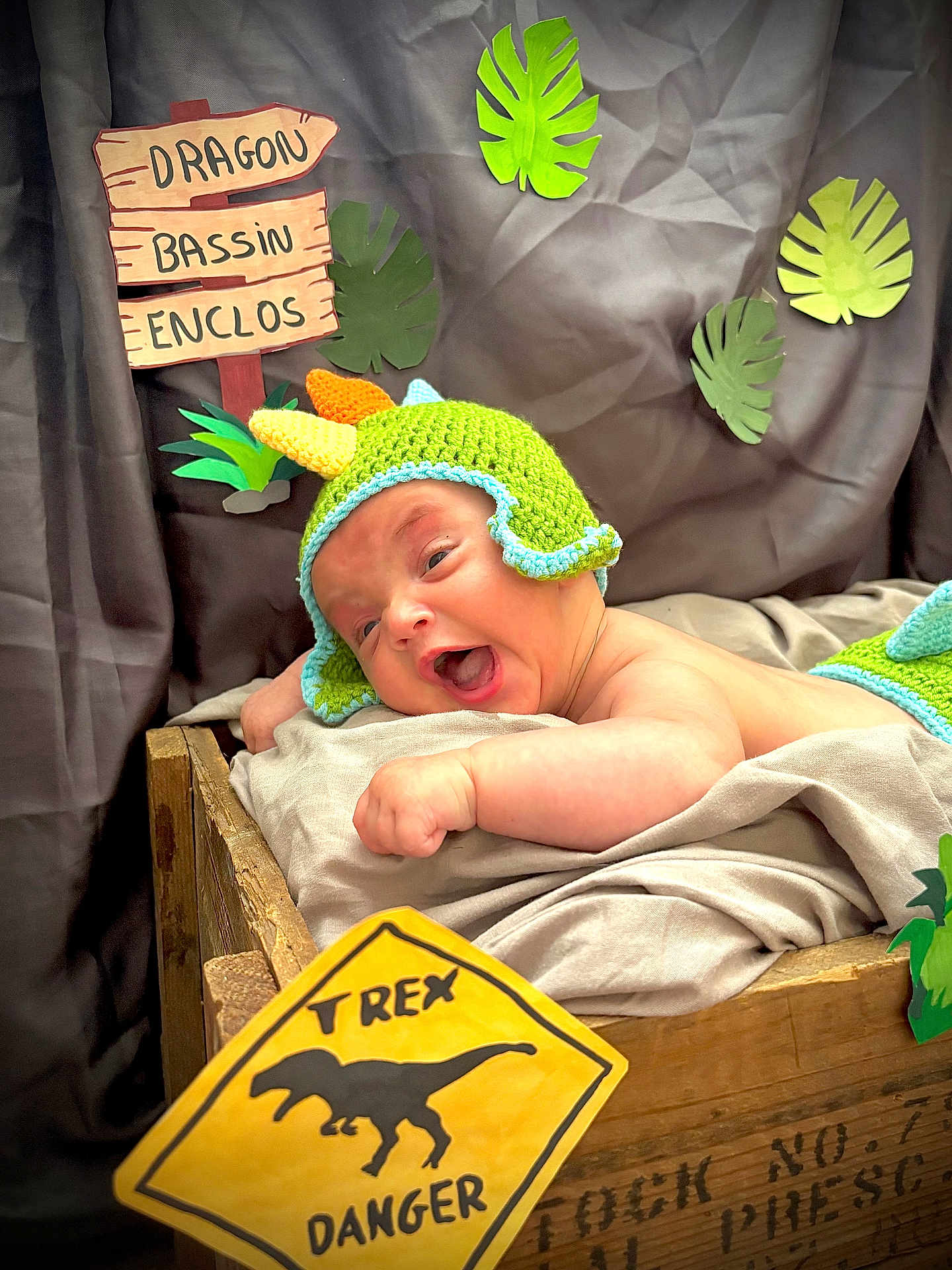 élio a rejoint le concours — aidez-le/la à gagner de superbes lots ! baby, dinosaur_hat, wooden_crate, blanket, sign, paper_leaves, green, cute, smiling, infant, costume, playful, warning_sign, t_rex, danger, decor, indoors, child, portrait, fun
