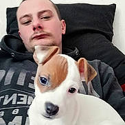 Despe a rejoint le concours — aidez-le/la à gagner de superbes lots ! animal, brown_patch, casual, companion, couch, cute, dog, home, hoodie, indoor, looking_at_camera, man, pet, pillow, portrait, puppy, relaxed, sitting, white_dog, young_adult