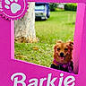 animal, background_blur, campaign, canine, cute, daylight, dog, grass, happy, nature, outdoor, paw_print, pet, pink_frame, portrait, scarf, sign, smiling, tongue_out, tree_trunk