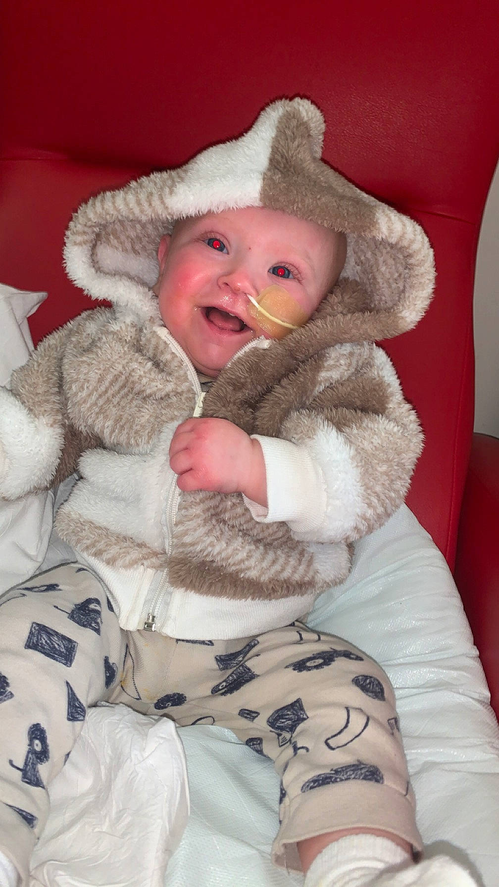 Layton joined the competition — help win amazing prizes! baby, cheek, child, comfort, event, fur, fur_clothing, gesture, happy, headwear, linens, person, plush, skin, smile, stuffed_toy, textile, toddler, toy, white