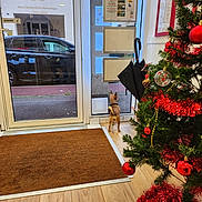Nelson a rejoint le concours — aidez-le/la à gagner de superbes lots ! dog, small_dog, glass_door, umbrella, christmas_tree, christmas_ornaments, red_tinsel, wooden_floor, brown_mat, indoor, decorations, holiday, pet, window, reflection, car, entrance, leash, facing_away, curious