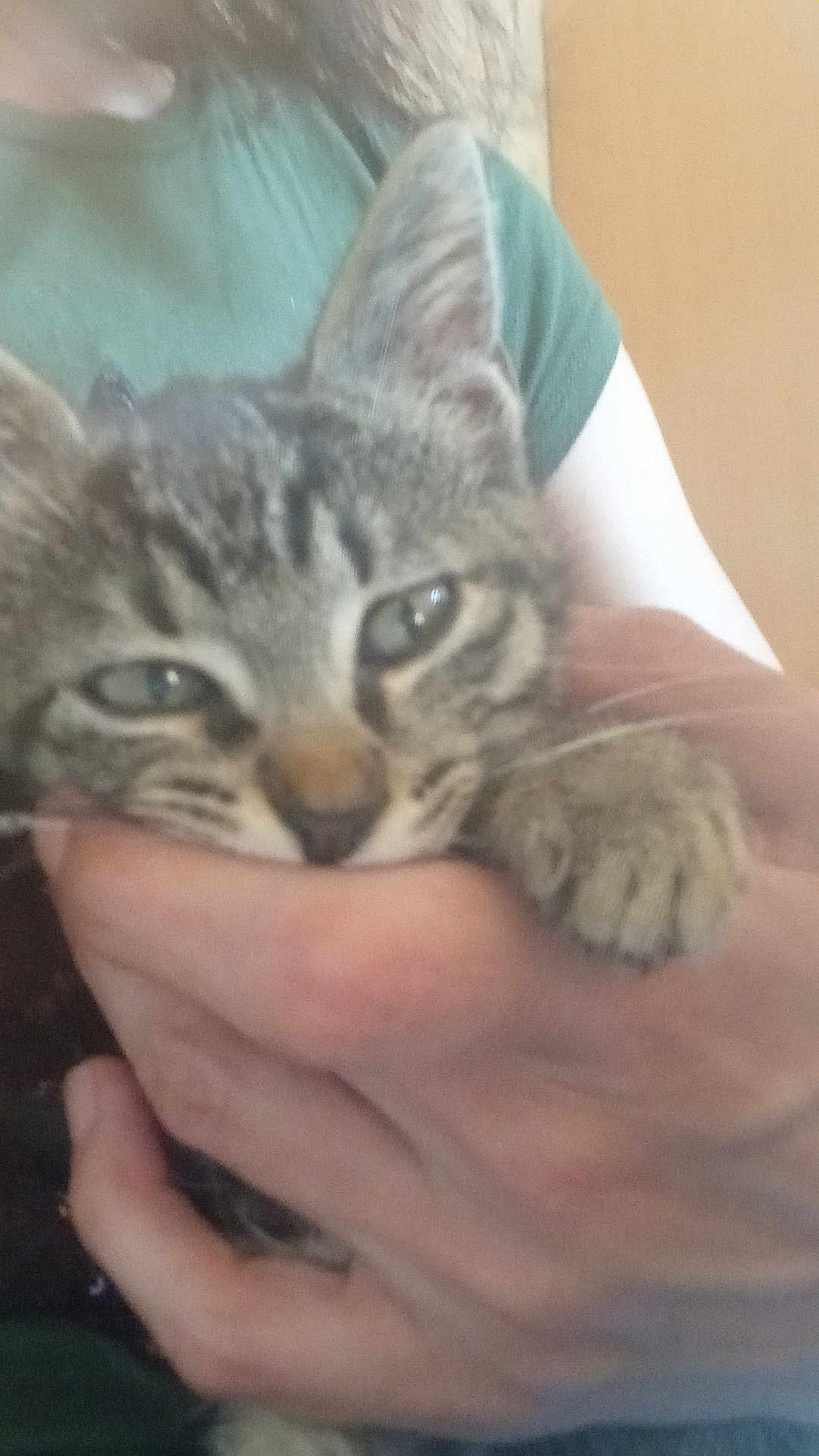 Tigrou