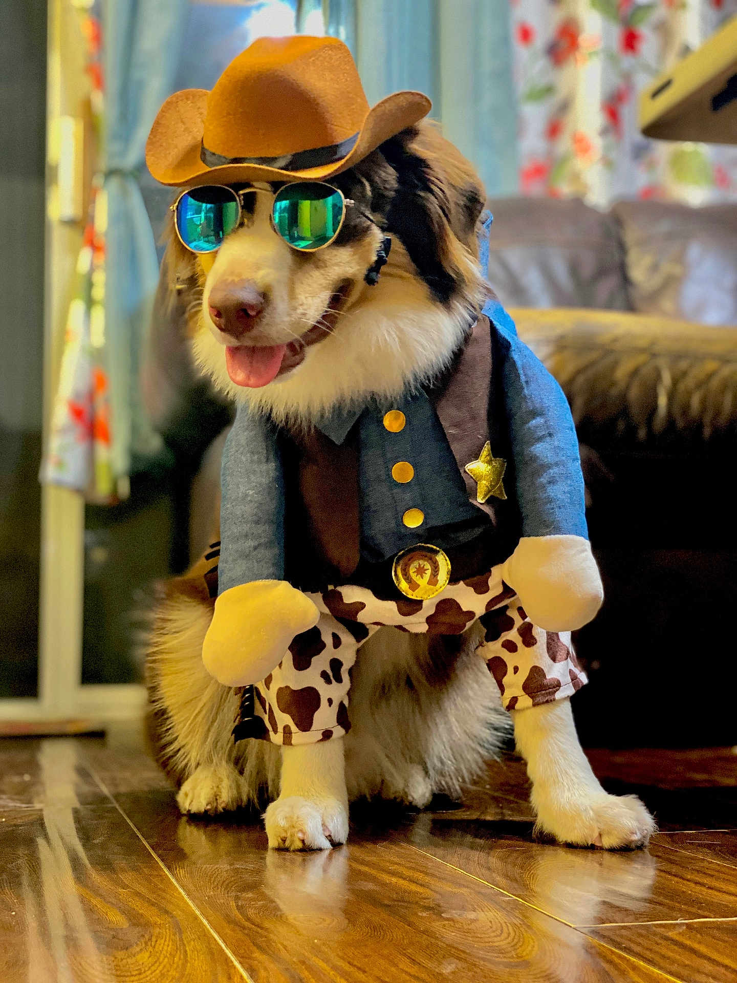 Kiro joined the competition — help win amazing prizes! dog, costume, cowboy, hat, sunglasses, indoor, wooden_floor, living_room, pet, animal, playful, cute, brown, white, fur, reflection, badge, clothing, home, smiling