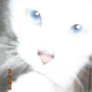 Jackson participe au concours pour gagner de l'argent avec cette photo :