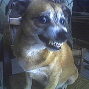 D'jenifer a rejoint le concours — aidez-le/la à gagner de superbes lots !